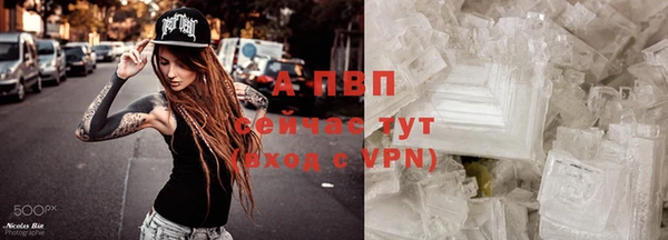 jwh Новозыбков