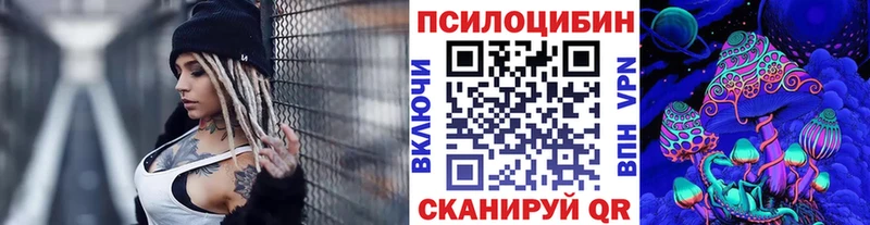 Купить Шарья Псилоцибиновые грибы GOLDEN TEACHER